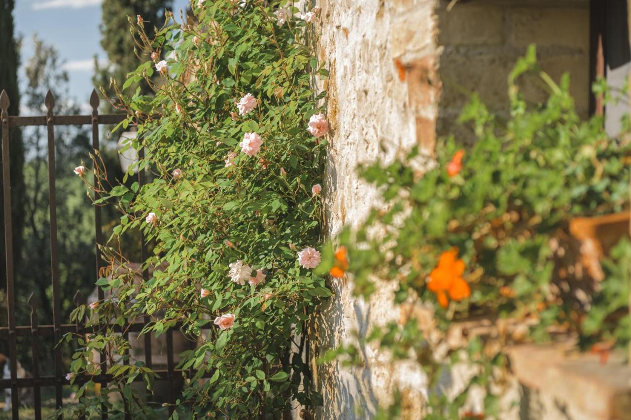 Agriturismo Cretaiole Pienza Buitenkant foto